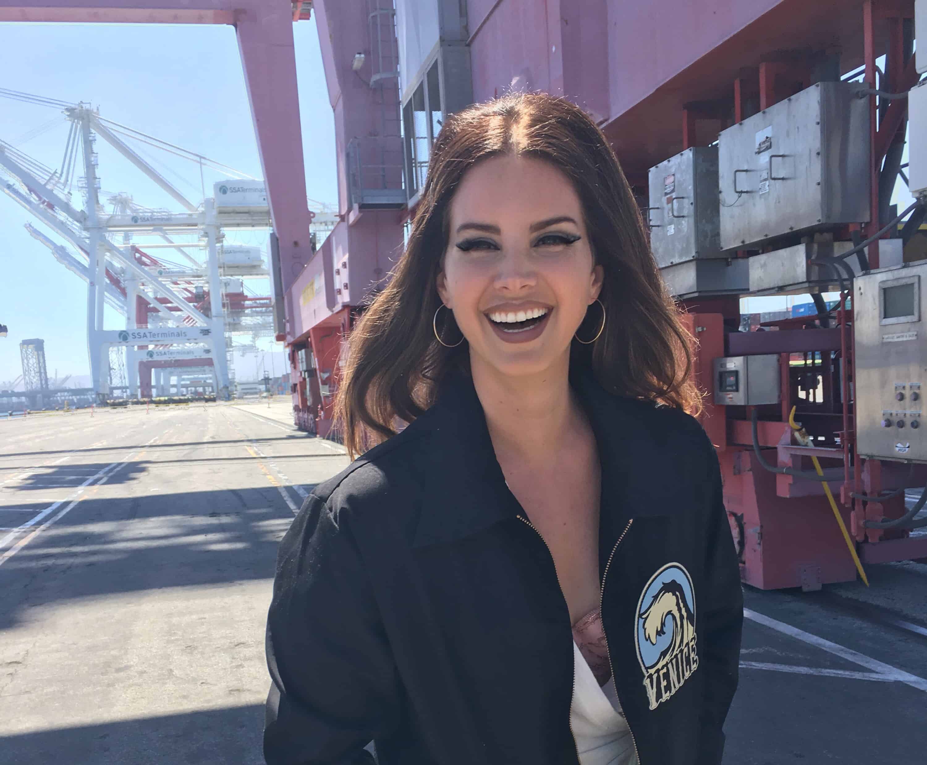 Lana Del Rey Norman Fucking Rockwell